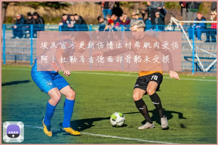 埃及官方更新伤情法特希肌肉受伤阿卜杜勒马吉德面部骨骼未受损