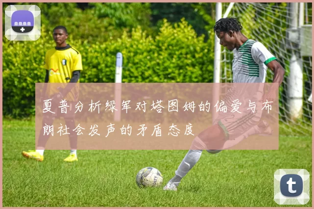 夏普分析绿军对塔图姆的偏爱与布朗社会发声的矛盾态度